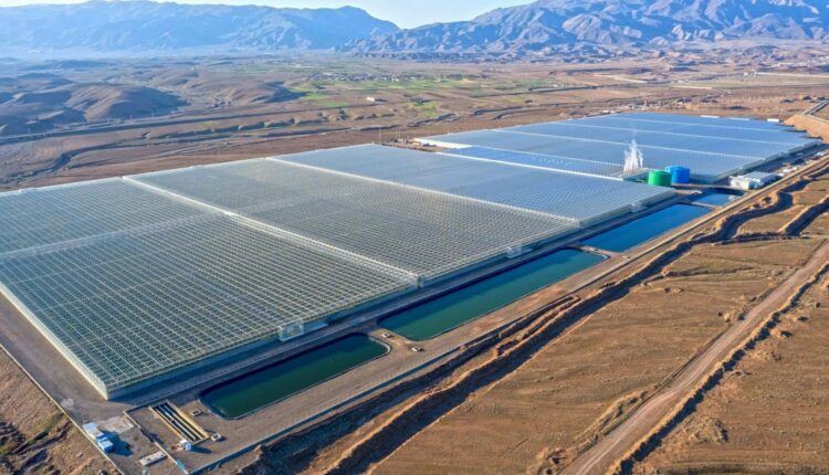 -2147483648_-213083
